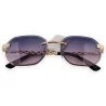 Chic gradient tinted sunglasses