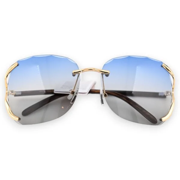 Fancy glasses with blue-gray shades